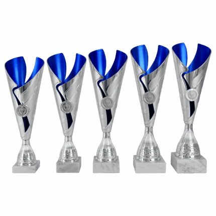 van der Storm Sportprijzen AK 5218 ZILVER-BLAUWE SERIE 5 MATEN 32.5-37 CM