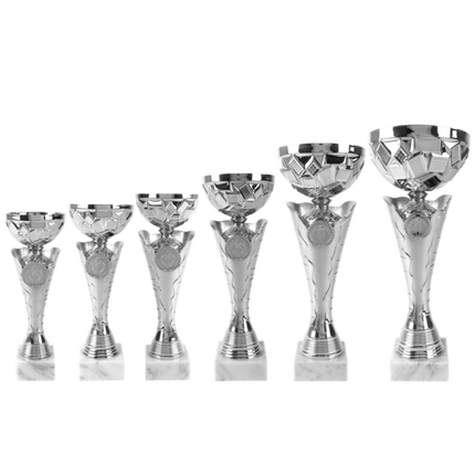 van der Storm Sportprijzen AK 6002 ZILVERKLEURIGE SERIE 6 MATEN 22.5-33,5 CM