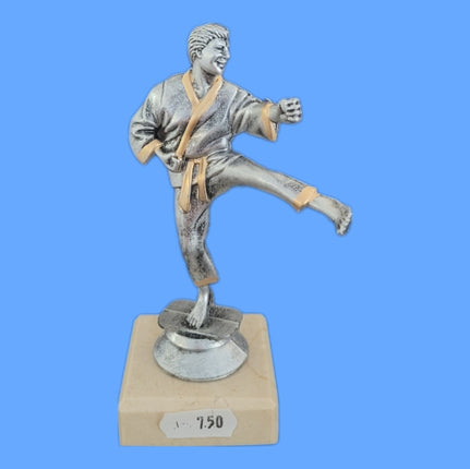 van der Storm Sportprijzen Karate figuur op voet ca. 13 cm