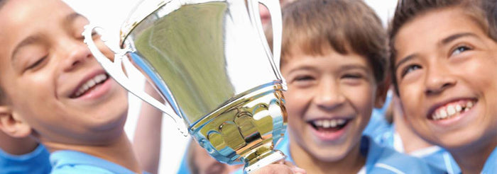 <h1>Van der Storm Sportprijzen</h1>