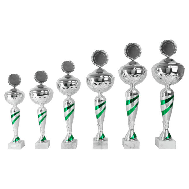 van der Storm Sportprijzen AK 5095 ZILVER-GROENE SERIE 6 MATEN 38-54 CM