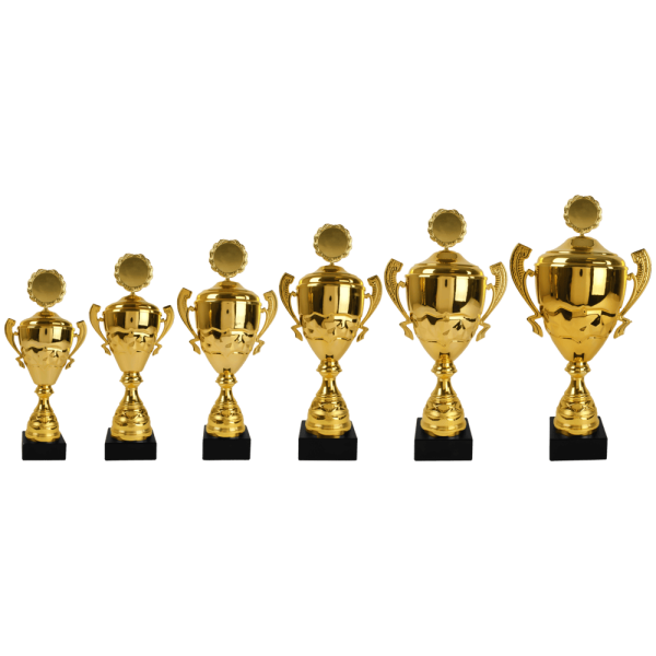 van der Storm Sportprijzen AK 5136 Cup met oren goud 6 maten 33-44,5 Cm
