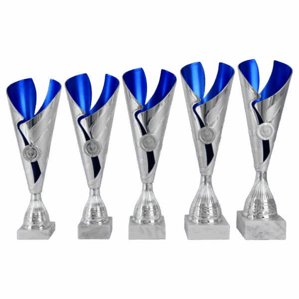 van der Storm Sportprijzen AK 5218 ZILVER-BLAUWE SERIE 5 MATEN 32.5-37 CM