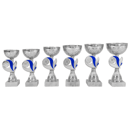 van der Storm Sportprijzen AK 5386 ZILVER-BLAUWE SERIE 6 MATEN 16.5-20  CM
