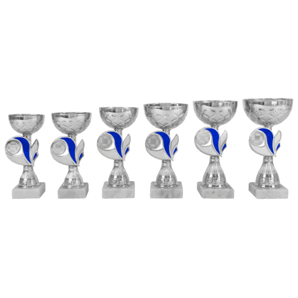 van der Storm Sportprijzen AK 5386 ZILVER-BLAUWE SERIE 6 MATEN 16.5-20  CM