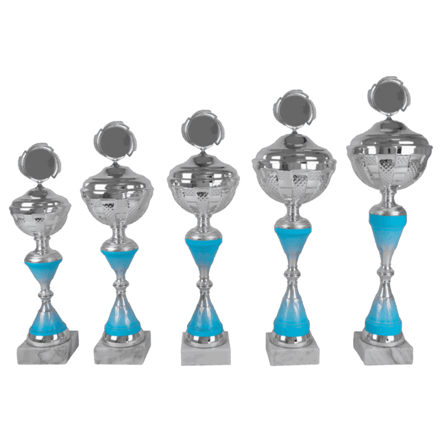 van der Storm Sportprijzen AK 5461 ZILVER-BLAUWE SERIE 5 MATEN 37.5-48 CM