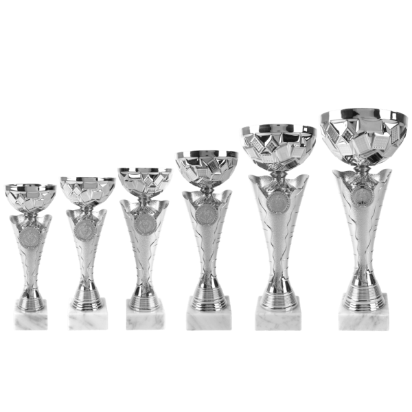 van der Storm Sportprijzen AK 6002 ZILVERKLEURIGE SERIE 6 MATEN 22.5-33,5 CM