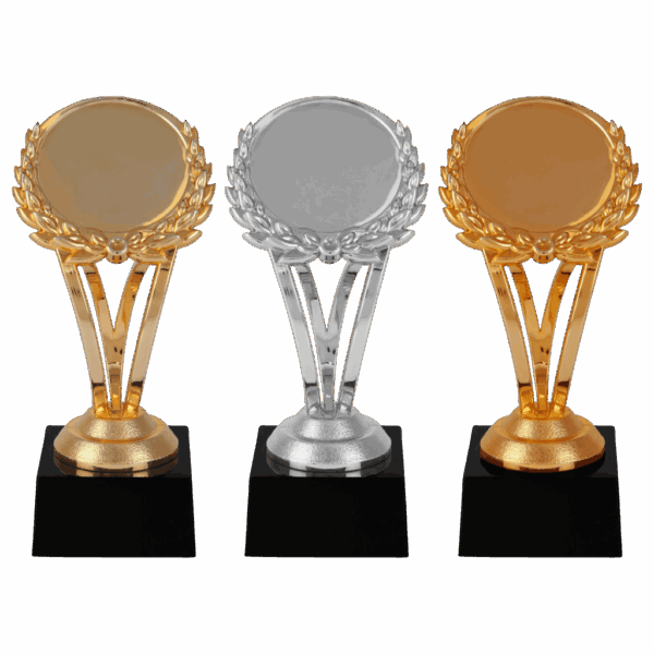 van der Storm Sportprijzen AR 1061 Moderne trofee in go-zil-bro  15 Cm