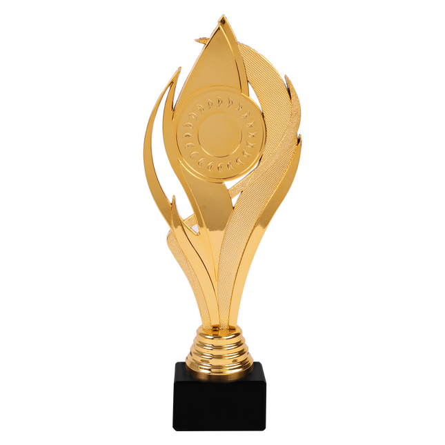 van der Storm Sportprijzen AR 1650 Moderne trofee :  24.5 Cm