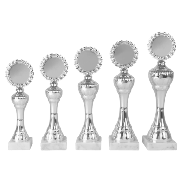 van der Storm Sportprijzen AS 3075 SERIE  ZILVER IN 5 MATEN 22.5-29.5 CM
