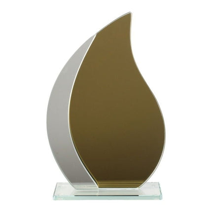 van der Storm Sportprijzen GOLDY GLAS AWARD GOUD-SPIEGEL 15.5 CM