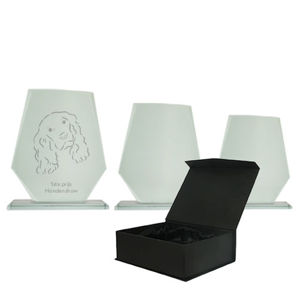 van der Storm Sportprijzen JENNIFER  Kristallen sporttrofee met blauw 16-19 Cm