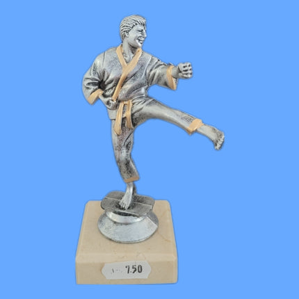 van der Storm Sportprijzen Karate figuur op voet ca. 13 cm