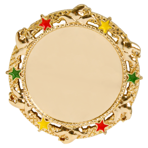 van der Storm Sportprijzen M PIN  Speldje (medaille look) Carnaval