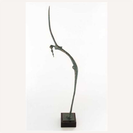van der Storm Sportprijzen MA 472 Silhouette 550 mm