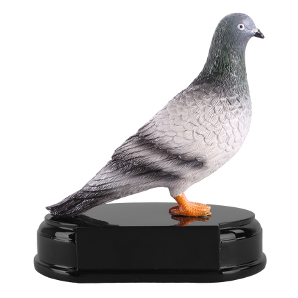 van der Storm Sportprijzen R 2631   Duif  15 cm