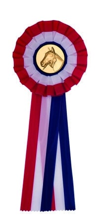 van der Storm Sportprijzen R 6  Grote kampioensrozet rood-wit-blauw