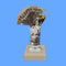 van der Storm Sportprijzen Standaard Kaarten  ca. 10 cm
